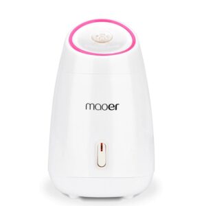 Fruit Facial Steamer