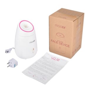 Fruit Facial Steamer