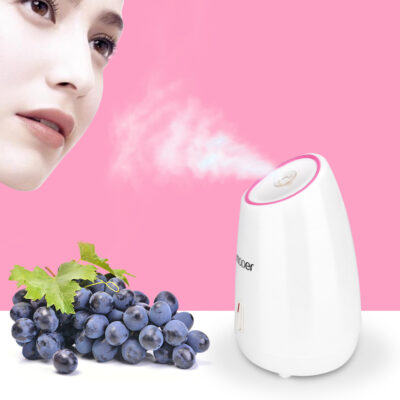 Fruit Facial Steamer