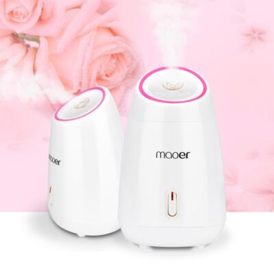 Fruit Facial Steamer