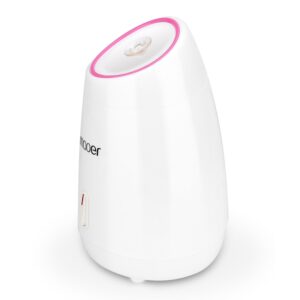 Fruit Facial Steamer