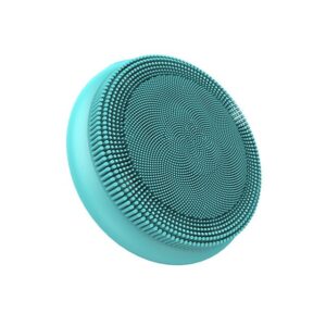 facial cleansing brush