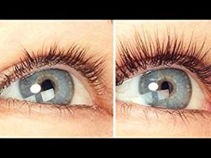 Lavesh Lash Eyelash Growth Serum